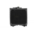 Radiateur, refroidissement du moteur THERMOTEC D7AG016TT - Visuel 1