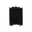 Radiateur, refroidissement du moteur THERMOTEC D7AG046TT - Visuel 1
