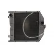 Radiateur, refroidissement du moteur THERMOTEC D7AG051TT - Visuel 1
