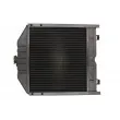 Radiateur, refroidissement du moteur THERMOTEC D7AG051TT - Visuel 2