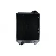 Radiateur, refroidissement du moteur THERMOTEC D7AG067TT - Visuel 1