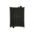 Radiateur, refroidissement du moteur THERMOTEC D7AG093TT - Visuel 1