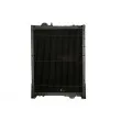 Radiateur, refroidissement du moteur THERMOTEC D7AG093TT - Visuel 2