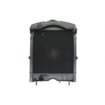 Radiateur, refroidissement du moteur THERMOTEC D7AG098TT