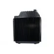 Radiateur, refroidissement du moteur THERMOTEC D7AG110TT - Visuel 1