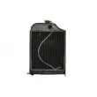 Radiateur, refroidissement du moteur THERMOTEC D7AG113TT - Visuel 1
