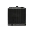 Radiateur, refroidissement du moteur THERMOTEC D7AG175TT - Visuel 1