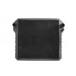 Radiateur, refroidissement du moteur THERMOTEC D7AG191TT - Visuel 1
