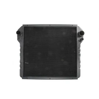 Radiateur, refroidissement du moteur THERMOTEC D7AG191TT