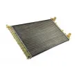 Radiateur, refroidissement du moteur THERMOTEC D7F020TT - Visuel 1