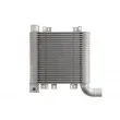 Intercooler, échangeur THERMOTEC DA05003TT - Visuel 1