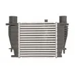 Intercooler, échangeur THERMOTEC DA1003TT - Visuel 1