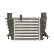 Intercooler, échangeur THERMOTEC DA1003TT - Visuel 2