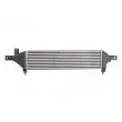 Intercooler, échangeur THERMOTEC DA1004TT - Visuel 2