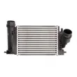 Intercooler, échangeur THERMOTEC DA1005TT - Visuel 1