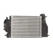 Intercooler, échangeur THERMOTEC DA1005TT - Visuel 2