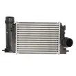 Intercooler, échangeur THERMOTEC DA1006TT - Visuel 1