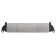 Intercooler, échangeur THERMOTEC DA3003TT - Visuel 1