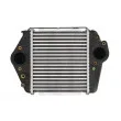 Intercooler, échangeur THERMOTEC DA3004TT - Visuel 1