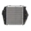 Intercooler, échangeur THERMOTEC DA3004TT - Visuel 2