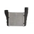 Intercooler, échangeur THERMOTEC DAA001TT - Visuel 1