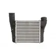 Intercooler, échangeur THERMOTEC DAA001TT - Visuel 2