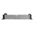 Intercooler, échangeur THERMOTEC DAB009TT - Visuel 1