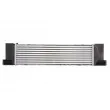 Intercooler, échangeur THERMOTEC DAB013TT - Visuel 2