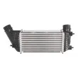 Intercooler, échangeur THERMOTEC DAC006TT - Visuel 2