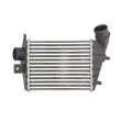Intercooler, échangeur THERMOTEC DAD001TT - Visuel 1