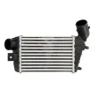 Intercooler, échangeur THERMOTEC DAD003TT - Visuel 1