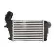 Intercooler, échangeur THERMOTEC DAD003TT - Visuel 2