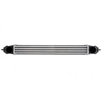 Intercooler, échangeur THERMOTEC DAF003TT
