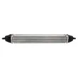 Intercooler, échangeur THERMOTEC DAF003TT - Visuel 3