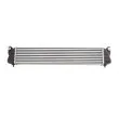 Intercooler, échangeur THERMOTEC DAF005TT - Visuel 2