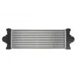 Intercooler, échangeur THERMOTEC DAG017TT - Visuel 2