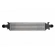 Intercooler, échangeur THERMOTEC DAM016TT - Visuel 1