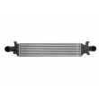 Intercooler, échangeur THERMOTEC DAM017TT - Visuel 1