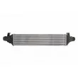 Intercooler, échangeur THERMOTEC DAM017TT - Visuel 2