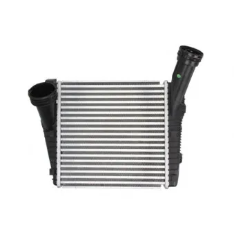 Intercooler, échangeur THERMOTEC DAN001TT