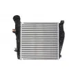 Intercooler, échangeur THERMOTEC DAN001TT - Visuel 2