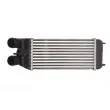 Intercooler, échangeur THERMOTEC DAP003TT - Visuel 1
