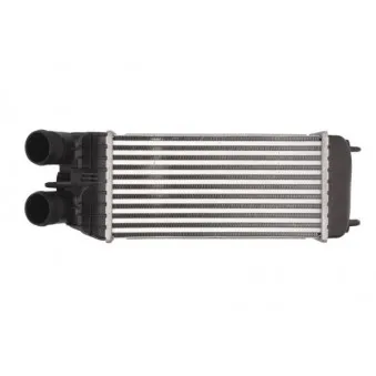 Intercooler, échangeur THERMOTEC DAP003TT