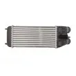 Intercooler, échangeur THERMOTEC DAP003TT - Visuel 2