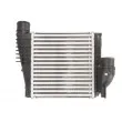 Intercooler, échangeur THERMOTEC DAP004TT - Visuel 1