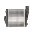 Intercooler, échangeur THERMOTEC DAP004TT - Visuel 2