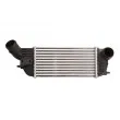 Intercooler, échangeur THERMOTEC DAP005TT - Visuel 1