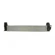 Intercooler, échangeur THERMOTEC DAR013TT - Visuel 2