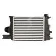 Intercooler, échangeur THERMOTEC DAR017TT - Visuel 2