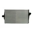 Intercooler, échangeur THERMOTEC DAV003TT - Visuel 1